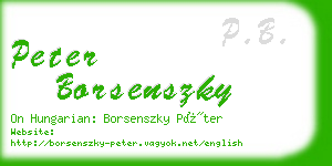 peter borsenszky business card